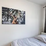 Ferienwohnung, Auf Zeit לייפציג