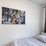 Ferienwohnung, Auf Zeit * לייפציג
